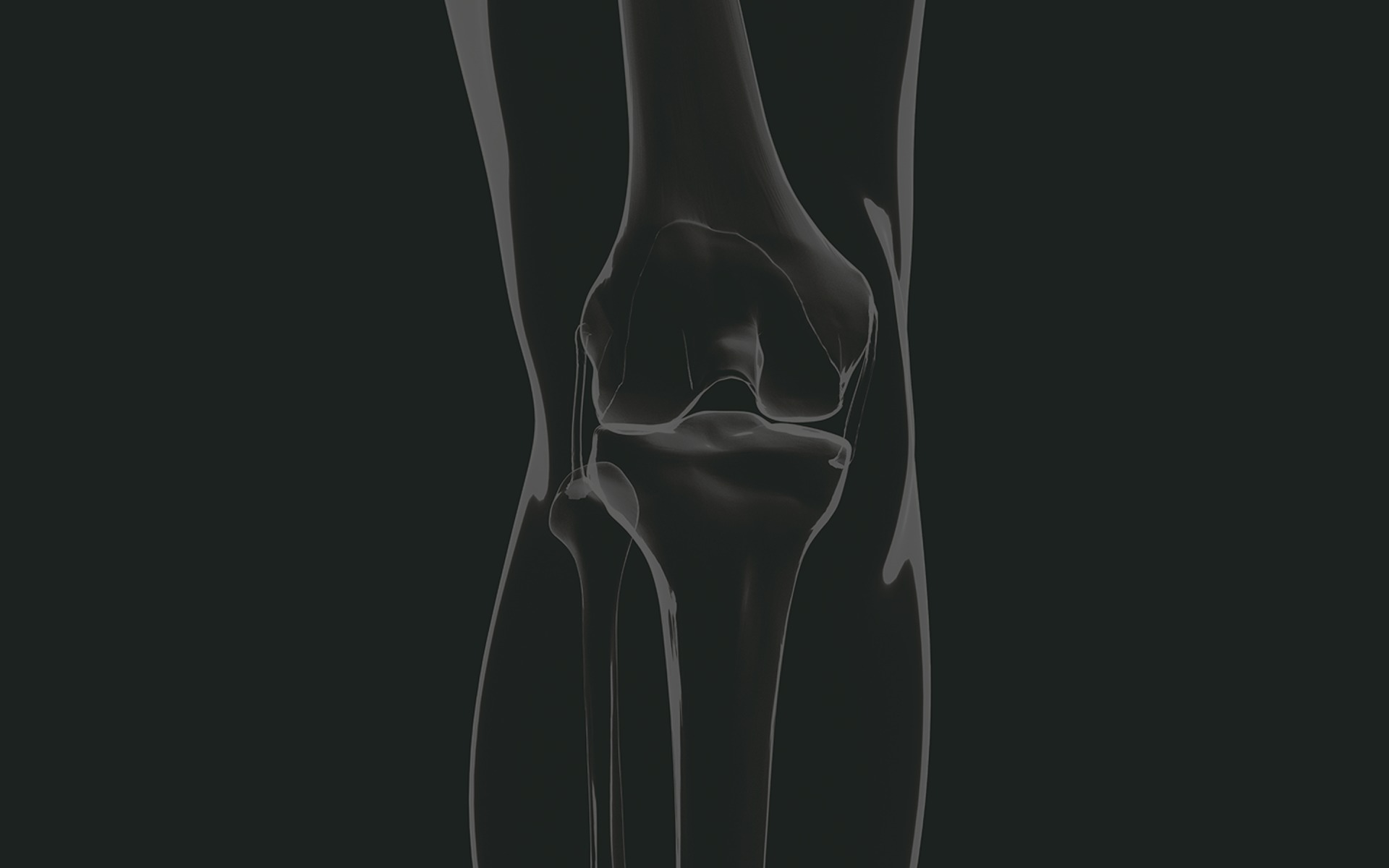 Augmented reality technology Knee+ Nexsight